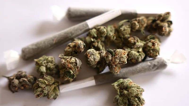 31 dicembre, — Weed di nuovo previsto?
