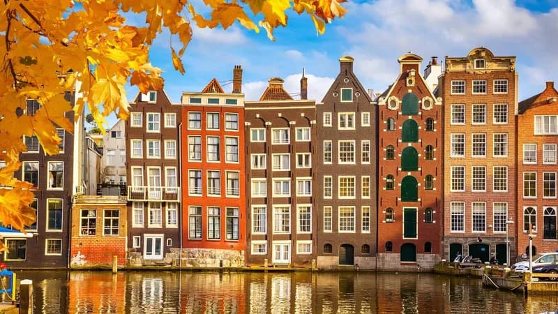 Will the highest temperature at Amsterdam on 17 August be 20°C?