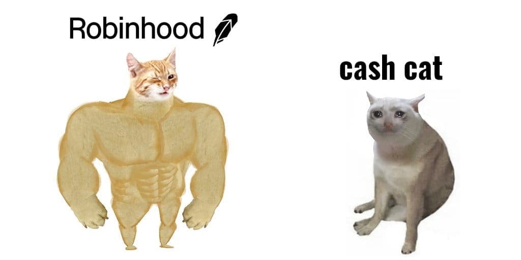 Cash Cat: Das steckt hinter dem Robinhood-Memecoin