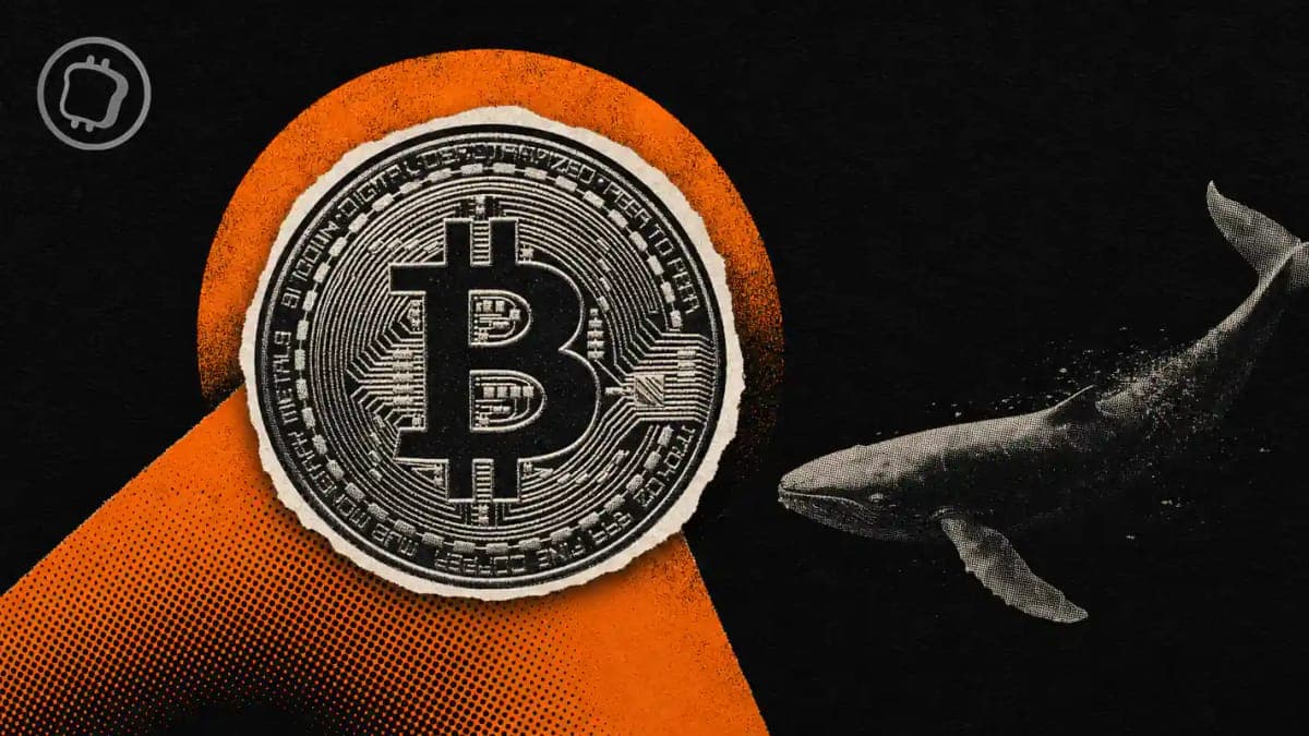 Bitcoin : les crypto-rapts poussent les baleines vers l'ETF IBIT selon ce cadre de BlackRock