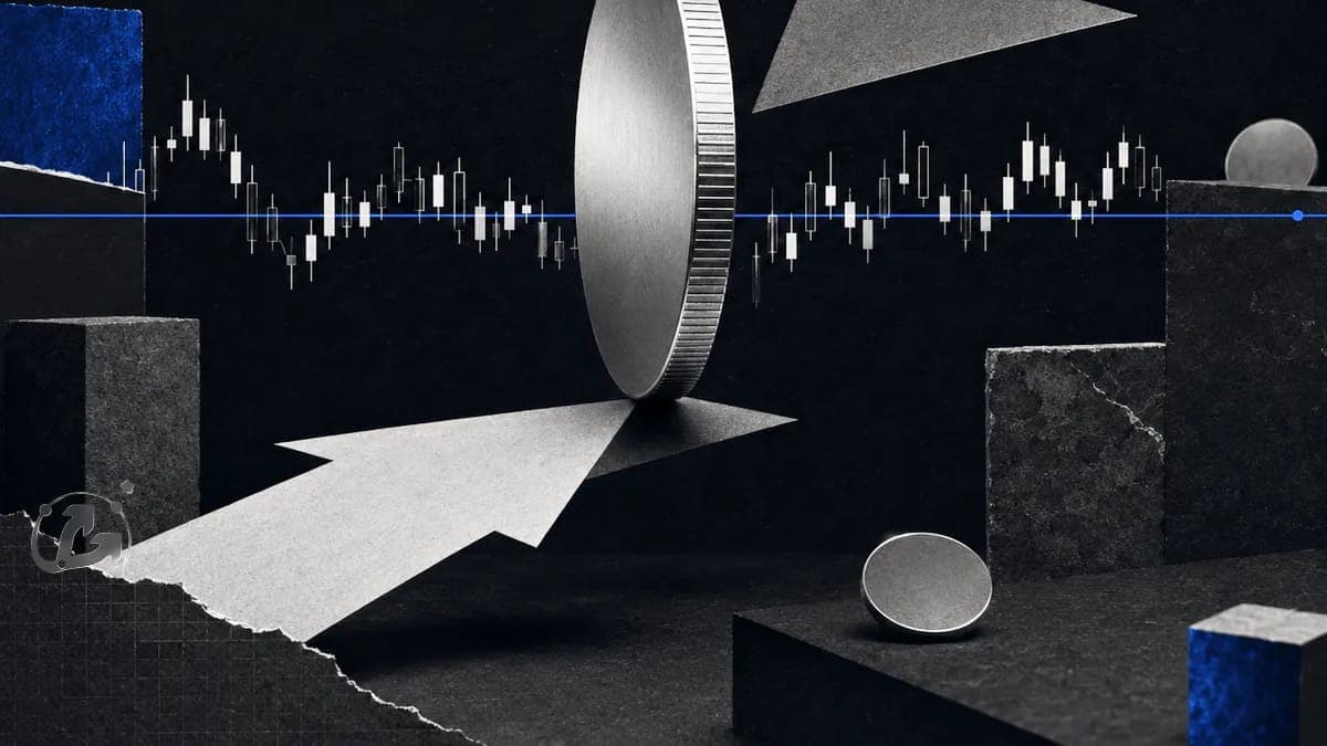 Акции поставщика грибов взлетели на 300% на фоне ажиотажа вокруг мем-коина JINQIAN