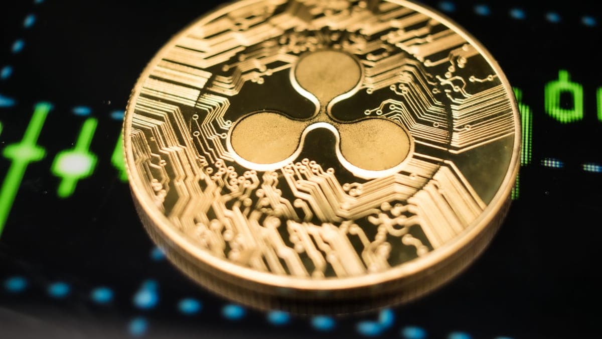 XRP wird zum Portfolio-Schwergewicht – nur Ethereum liegt noch davor