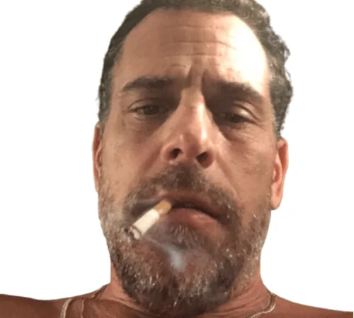 Hunter Biden — Who will explain the race of president before 2027?