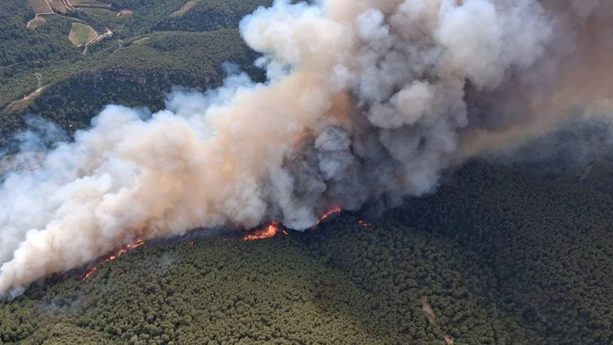 Un nuevo incendio en Aiguamúrcia (Tarragona) obliga a evacuar a entre 300 y 400 vecinos de cuatro urbanizaciones