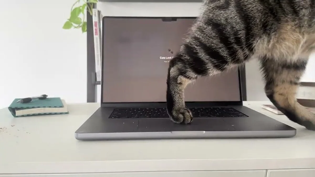 Kedi sahipleri için ilginç Mac uygulaması