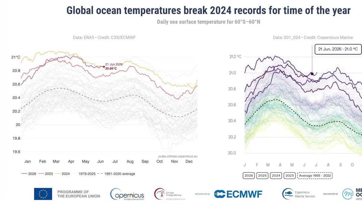 Las temperaturas diarias de la superficie del mar a nivel mundial baten récords para la época del año, según Copernicus