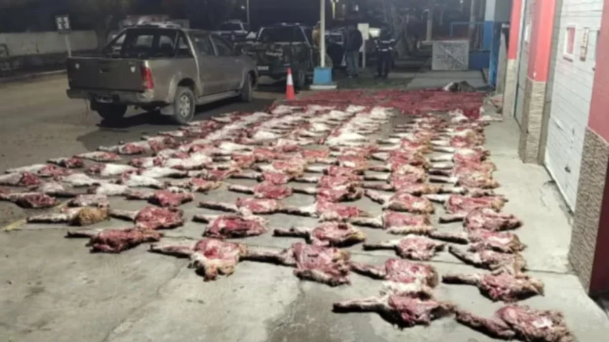 Decomisaron más de 190 kilos cortes de carne de especies protegidas durante un control policial en Santa Cruz