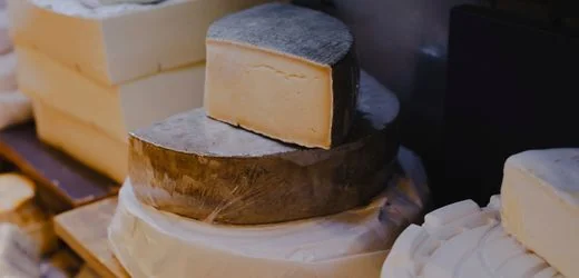 Frieden durch Käse - Alles Gute vom SPIEGEL
