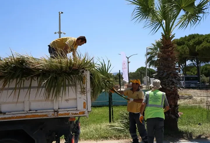 Kuşadası'nda yeşil alanlarda bakım ve düzenleme yapıldı