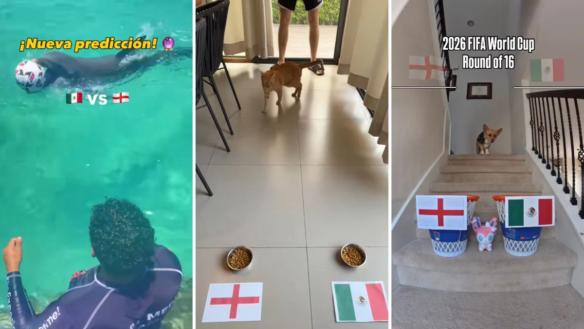 Animales influencers se vuelven virales al lanzar su predicción del partido entre México e Inglaterra en el Mundial 2026