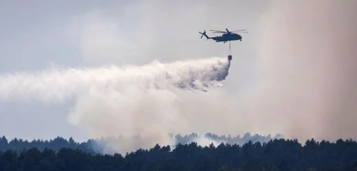 Mecklenburg-Vorpommern: Brand in Müritz-Nationalpark weitet sich aus