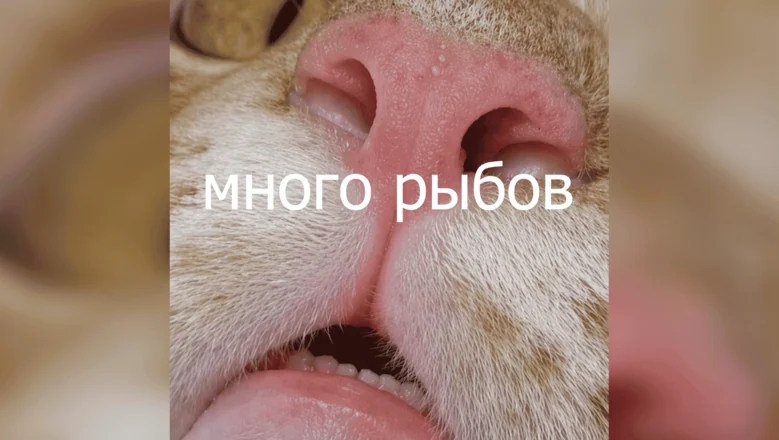 NF интерфейсы — новый слой поверх классического UI