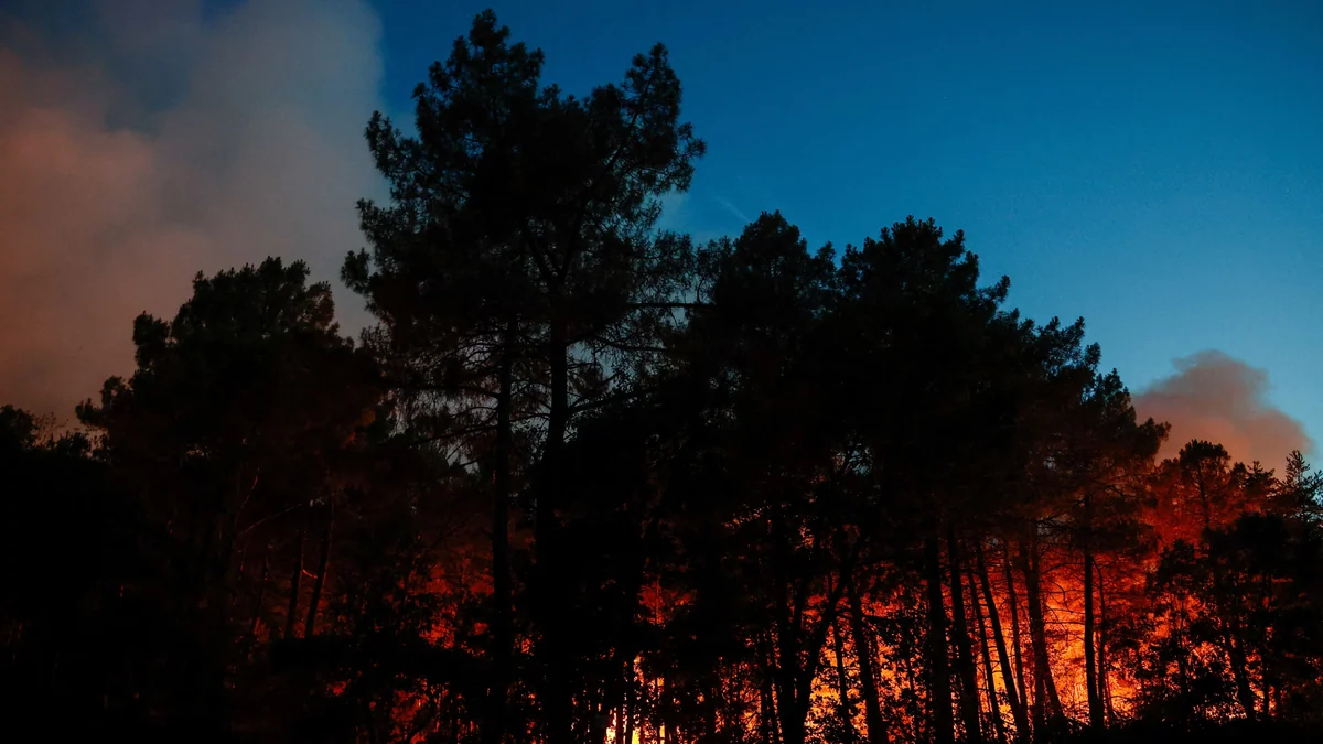 Un incendio devora el bosque de Fontainebleau, a las puertas de París
