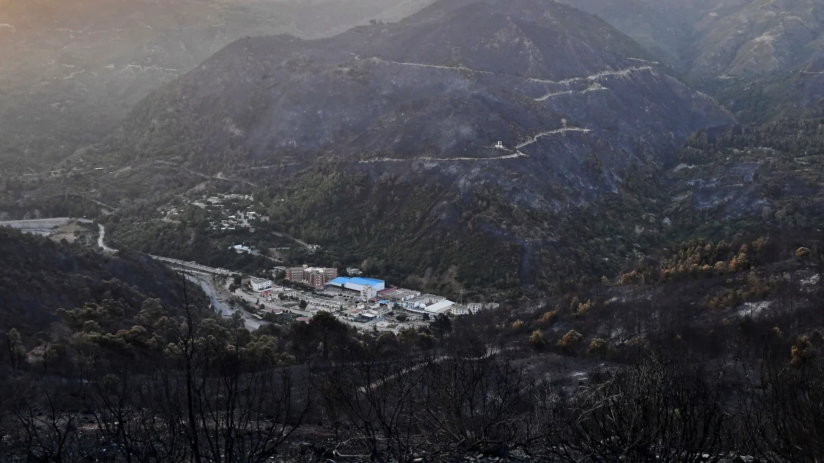 An der Mittelmeerküste: Zahlreiche Waldbrände wüten in Algerien