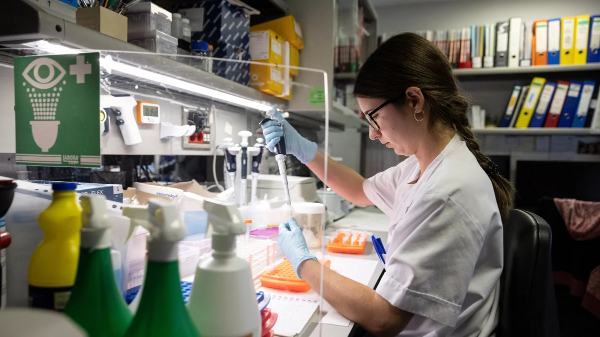 Vuelta de tuerca en el tumor más letal: una terapia dirigida logra duplicar la supervivencia en el cáncer de páncreas