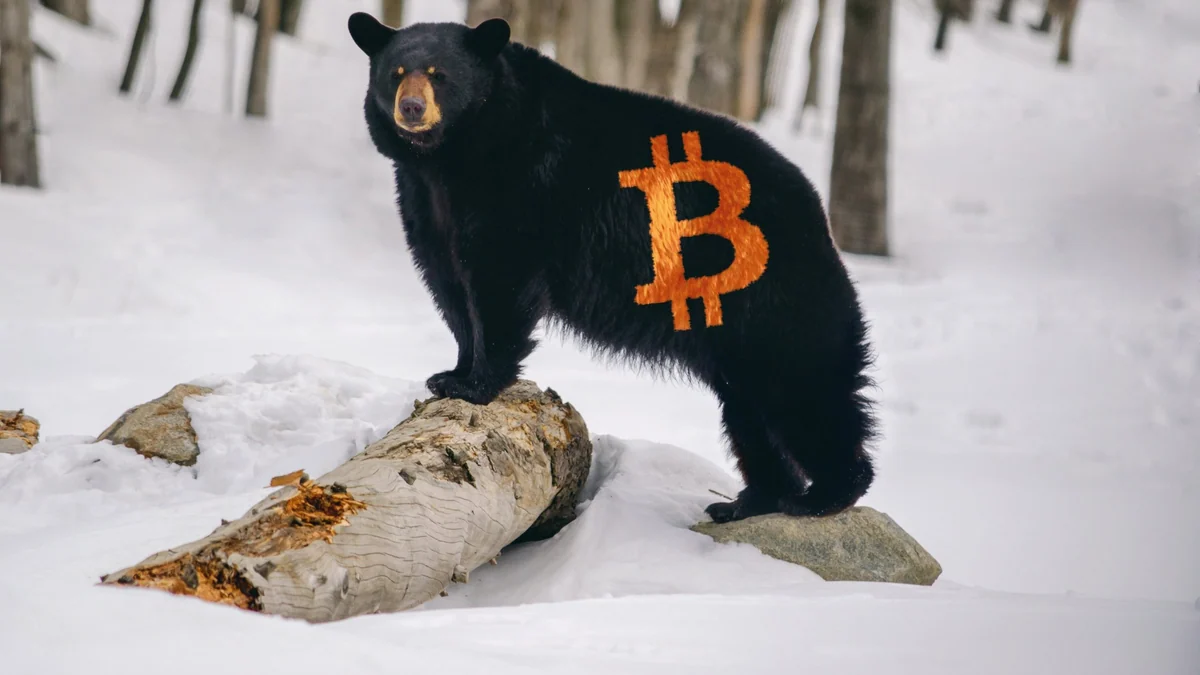 Bitcoin-Bärenmarkt 2026: Wie tief könnte der BTC-Kurs noch fallen?