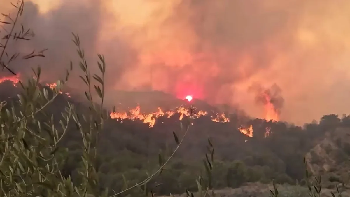 Las imágenes de uno de los supervivientes del incendio de Los Gallardos: “Menos mal que no salí”