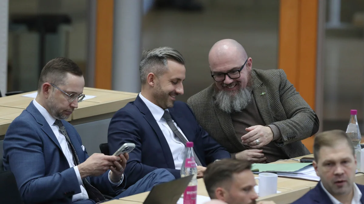 Sachsen-Anhalt: Wenn die AfD allein regiert