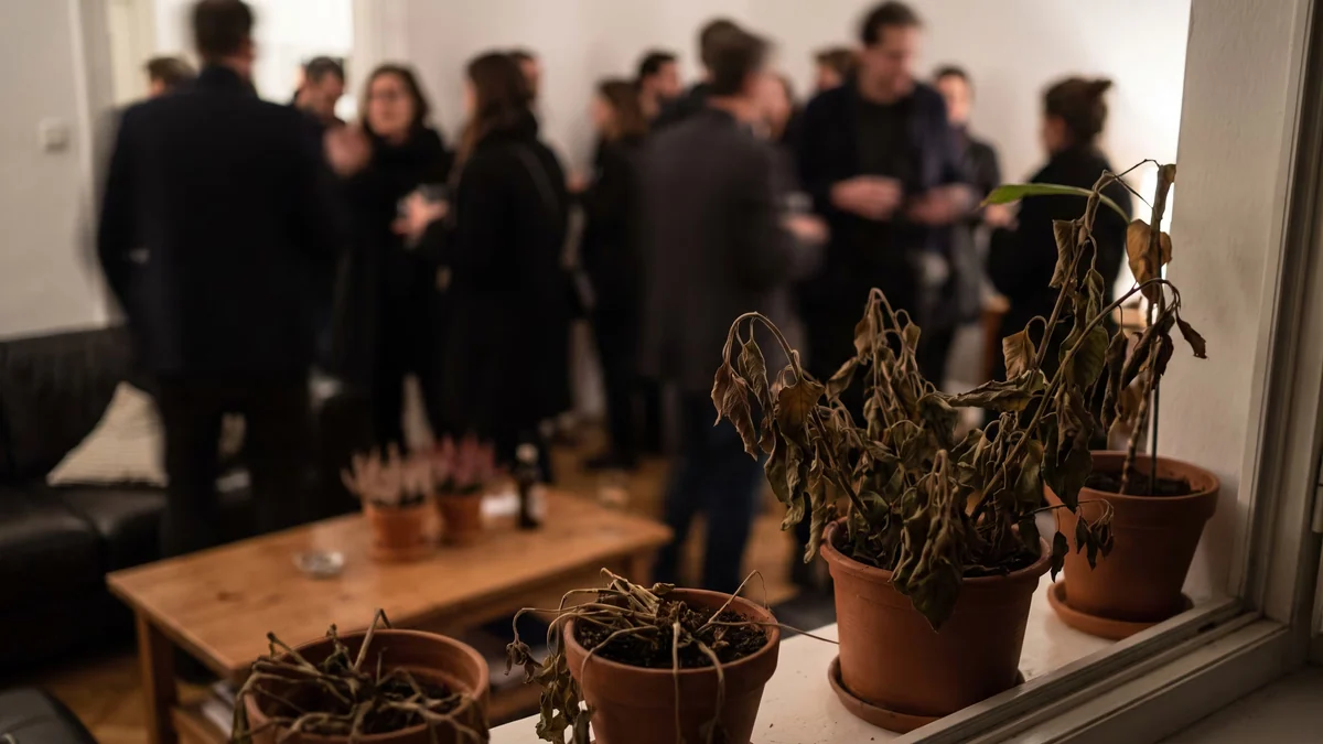 Por qué, según el feng shui, se marchitan las plantas del hogar y qué hacer para evitarlo