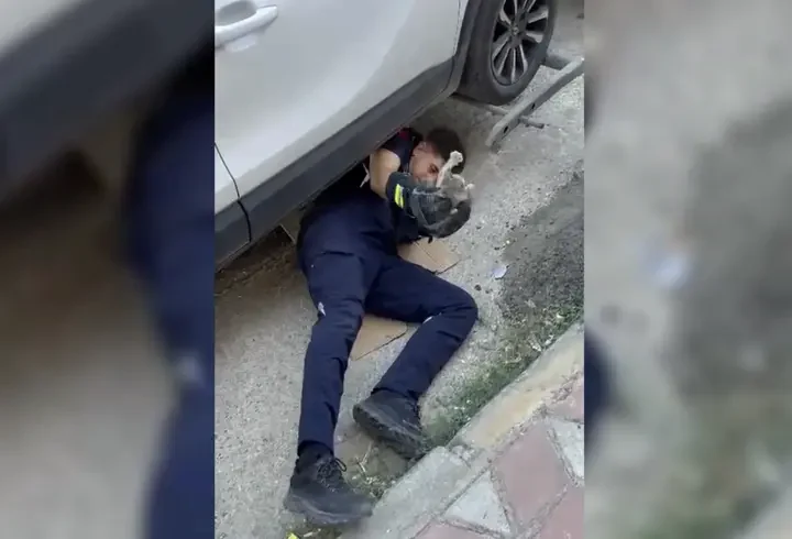 Otomobilin motor kısmına giren yavru kediyi itfaiye kurtardı