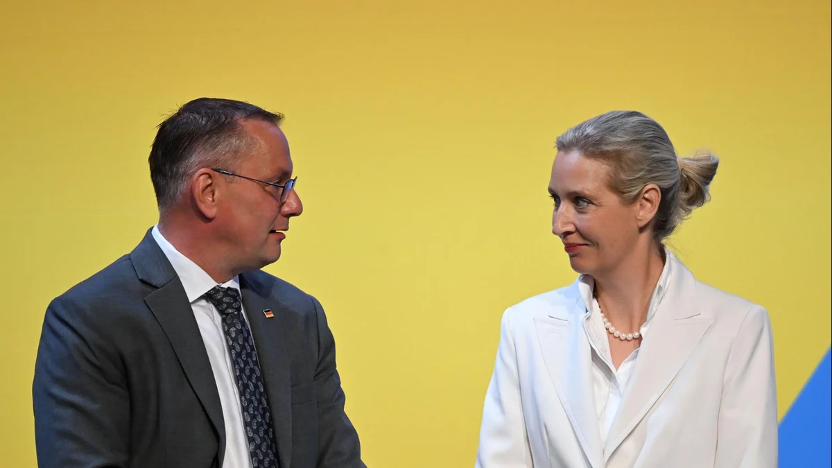Abschluss des AfD-Parteitags: "Endlich aus der Opposition in die Regierung"