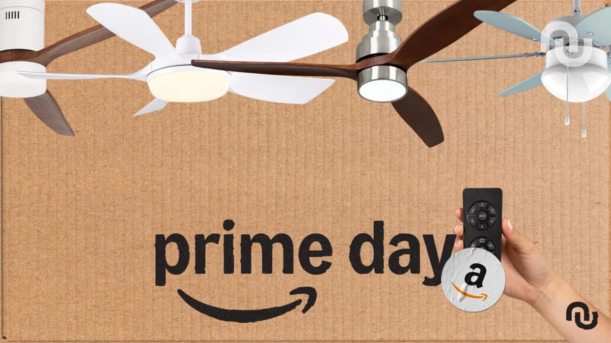 Amazon baisse le prix de plusieurs ventilateurs de plafond pour les Prime Day