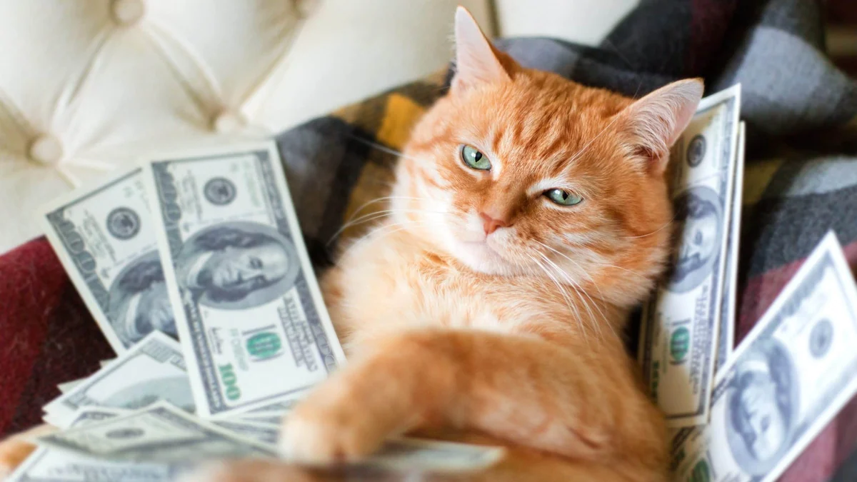 Memecoin-Jackpot: Krypto-Trader macht aus 80.000 Dollar blitzschnell 1,25 Millionen