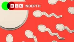 What we miss when we ignore male infertility