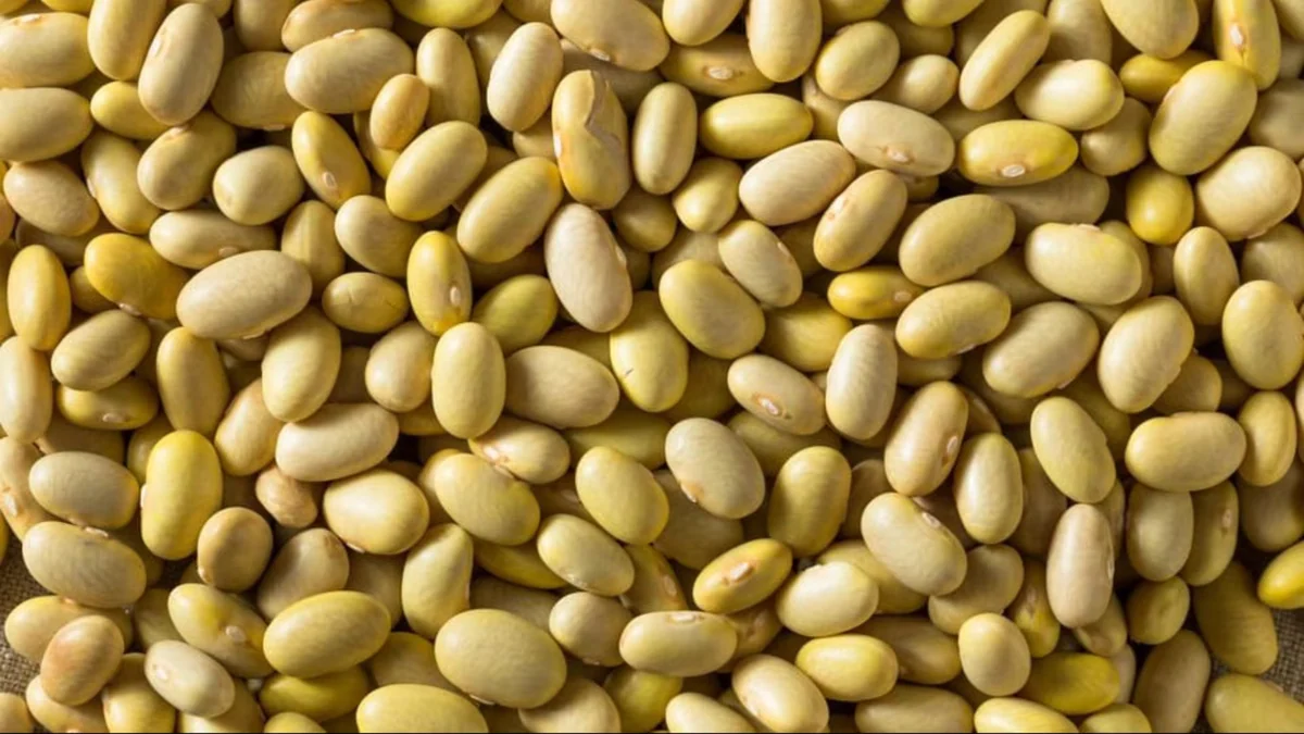 Imbatible: legumbres peruanas conquistan el mundo y alcanzan los USD 117 millones en 2025, ¿A cuántos mercados llegaron?