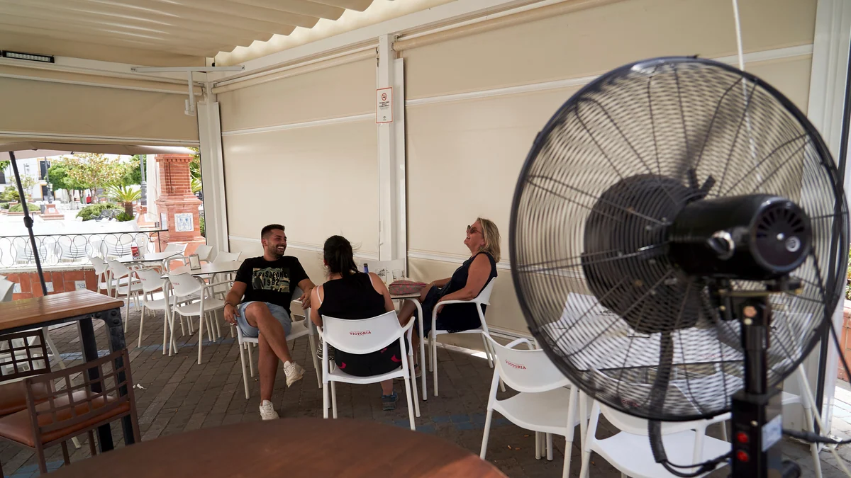 Los 5 mejores trucos para proteger tu cerebro del calor extremo (y sí, el chocolate es uno de ellos)
