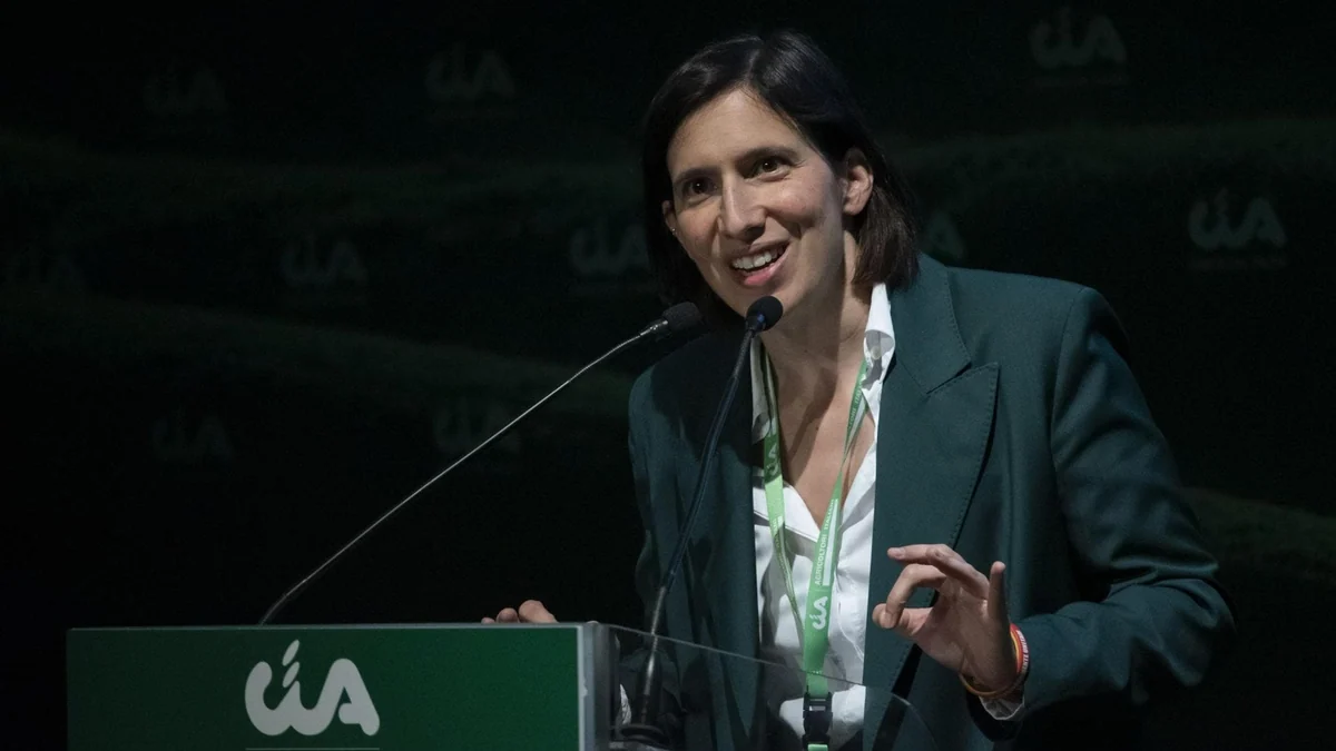 Sondaggi politici: bene il Pd, FdI stabile al primo posto. Cresce il partito di Vannacci