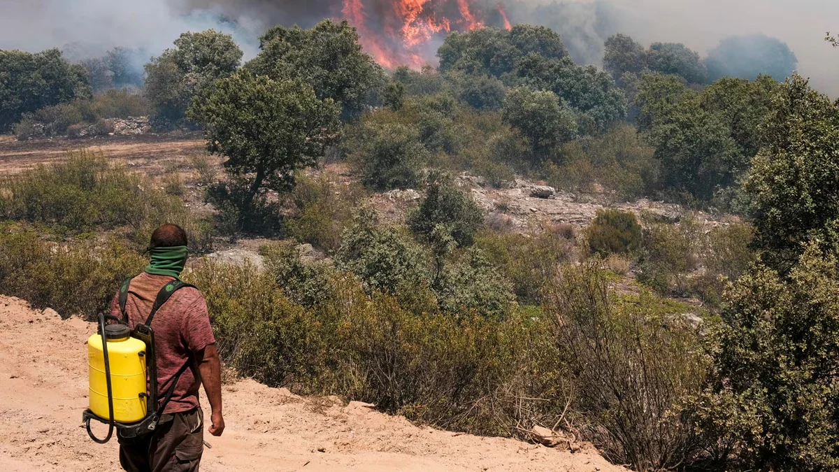 El incendio de La Mierla (Guadalajara) se acerca a Castilla y León e incrementa la amenaza en la comunidad junto con los de Brieva y Monsagro