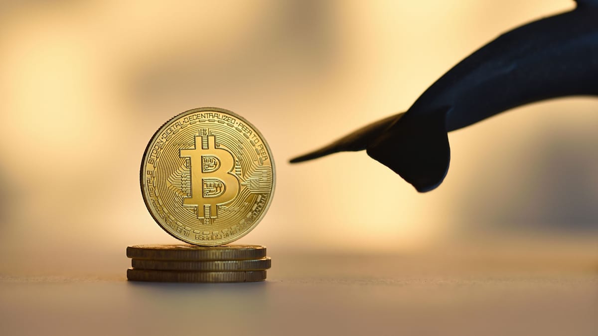 Bitcoin’de Elit Tabaka Harekete Geçti: Dev Balina Sayısı Son 6 Ayın Zirvesine Tırmandı