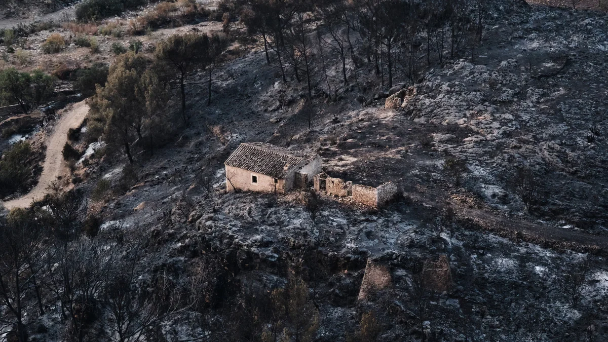 Accidentes, negligencias y fuegos intencionados originan el 95% de los incendios forestales en España: “No podemos esperar a que lleguen las llamas para actuar”