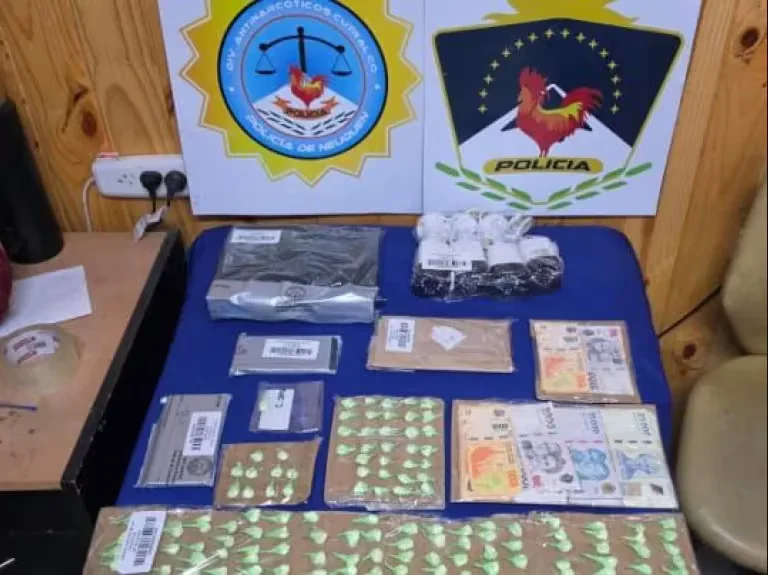 Secuestraron más de 300 dosis de cocaína y armas tras operativos de narcomenudeo en Neuquén