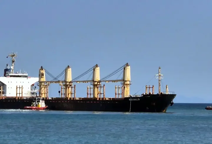 Tekirdağ açıklarında kuru yük gemisi karaya oturdu