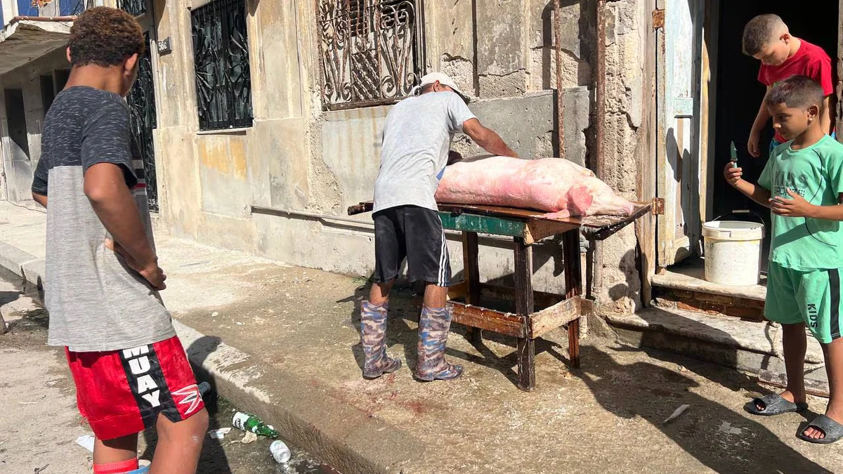 Crisis sin fin en Cuba: jóvenes del servicio militar obligatorio recolectan la basura y ciudadanos cocinan cerdo en la calle