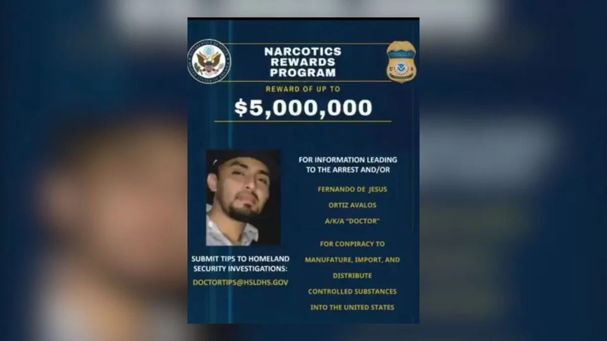Capturan a “El Doctor“, presunto operador de ”Los Viagras" en Michoacán