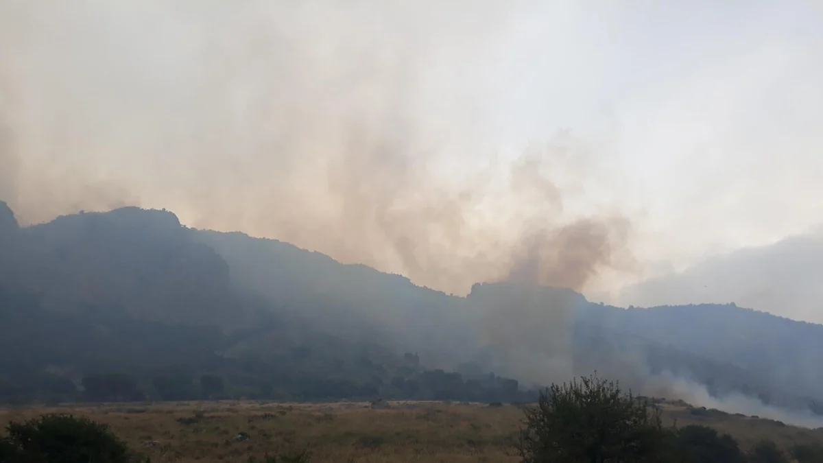 Ucciso e poi carbonizzato nel Salernitano, la vittima è un giornalista