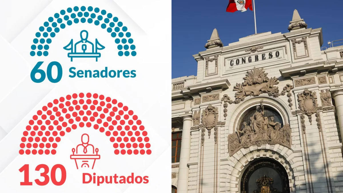 ¿Qué pasa si un senador o diputado electo no acepta el cargo? JNE explica el procedimiento