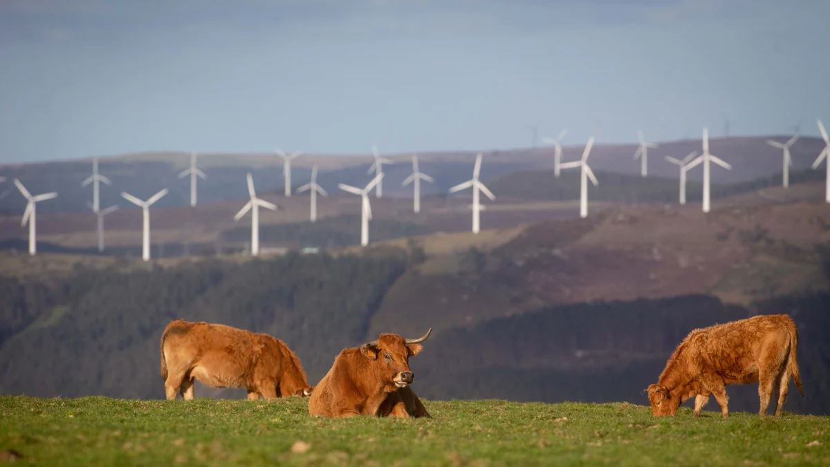 Sequías de viento: el fenómeno invisible que afecta la producción de energía, la contaminación y la agricultura