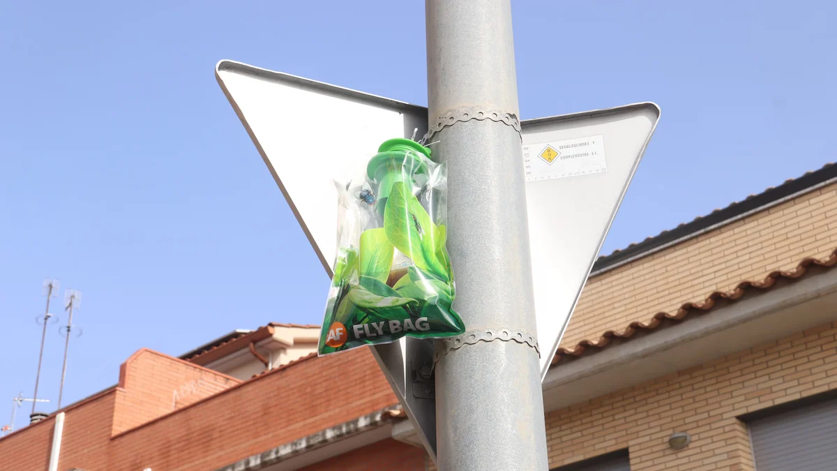 Una plaga de moscas invade Hostalric (Girona) y obliga a cerrar empresas: “Está siendo asqueroso”