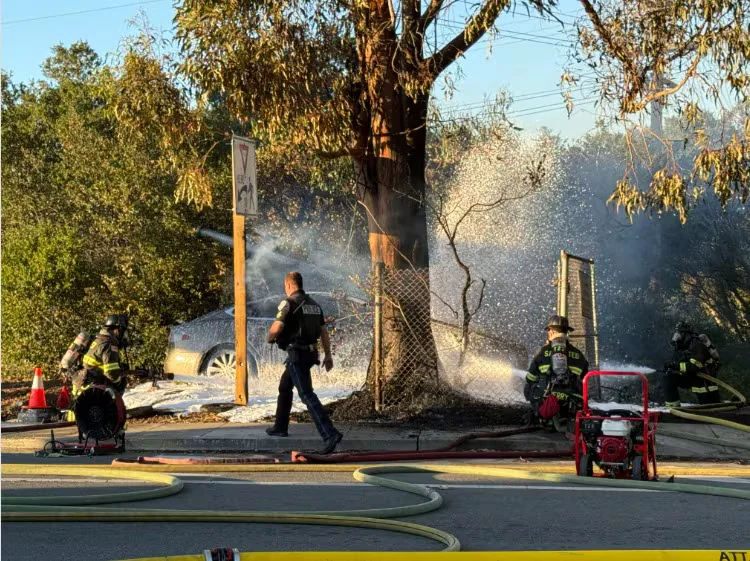 Un conductor murió después de que su Tesla chocara contra un poste de luz y se incendiara en una carretera de California