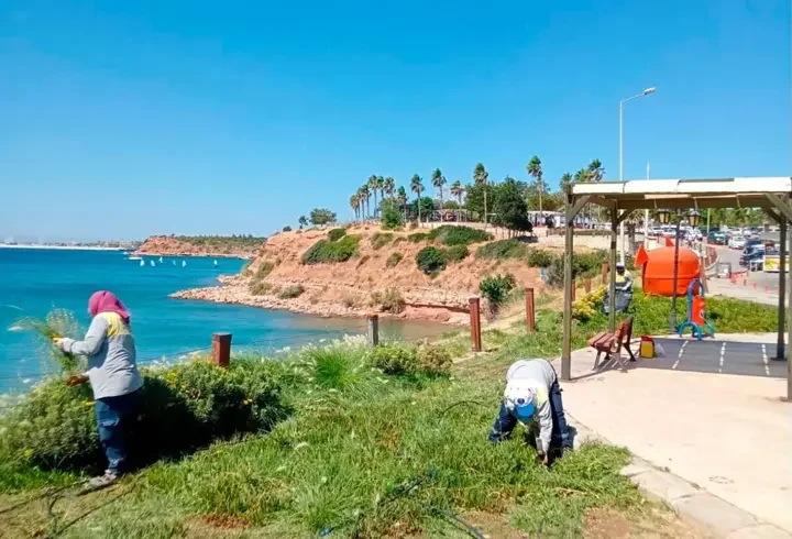 Didim Belediyesi kent genelinde bakım çalışmalarını sürdürüyor