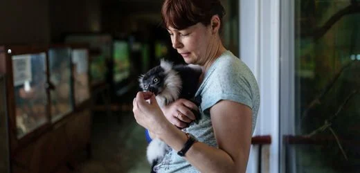 Ukraine: Tiere und Pfleger im Krieg – Mykolajiw, der größte Zoo des Landes