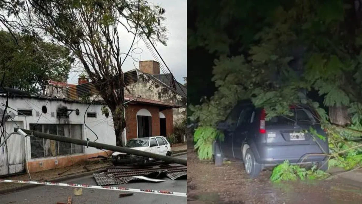 Una mujer de 76 años murió aplastada por un árbol en medio del temporal que azotó al norte de Entre Ríos