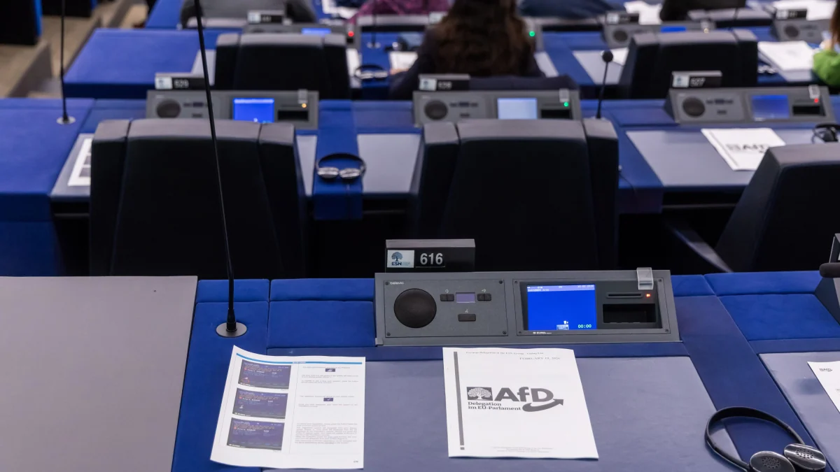 Prüfverfahren gegen ESN: Verliert die AfD-Europapartei ihre Finanzierung?