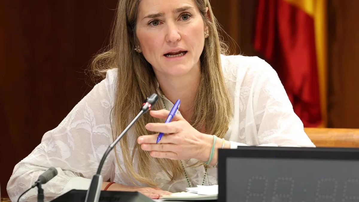 El Senado interroga esta semana a la vicepresidenta Aagesen y al DAO de la Guardia Civil