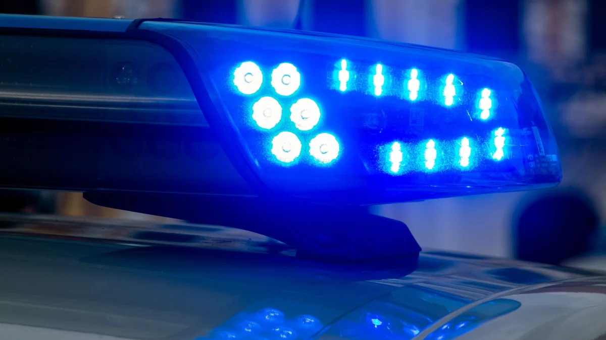 In Anhalt-Bitterfeld: Vier Jahre altes Mädchen von Hund zu Tode gebissen