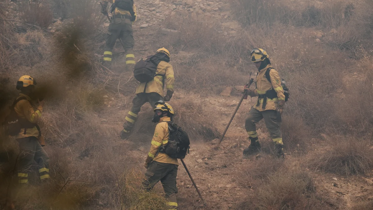 Precariedad en primera línea de fuego: una ley de mínimos para los bomberos forestales que las comunidades se niegan a aplicar